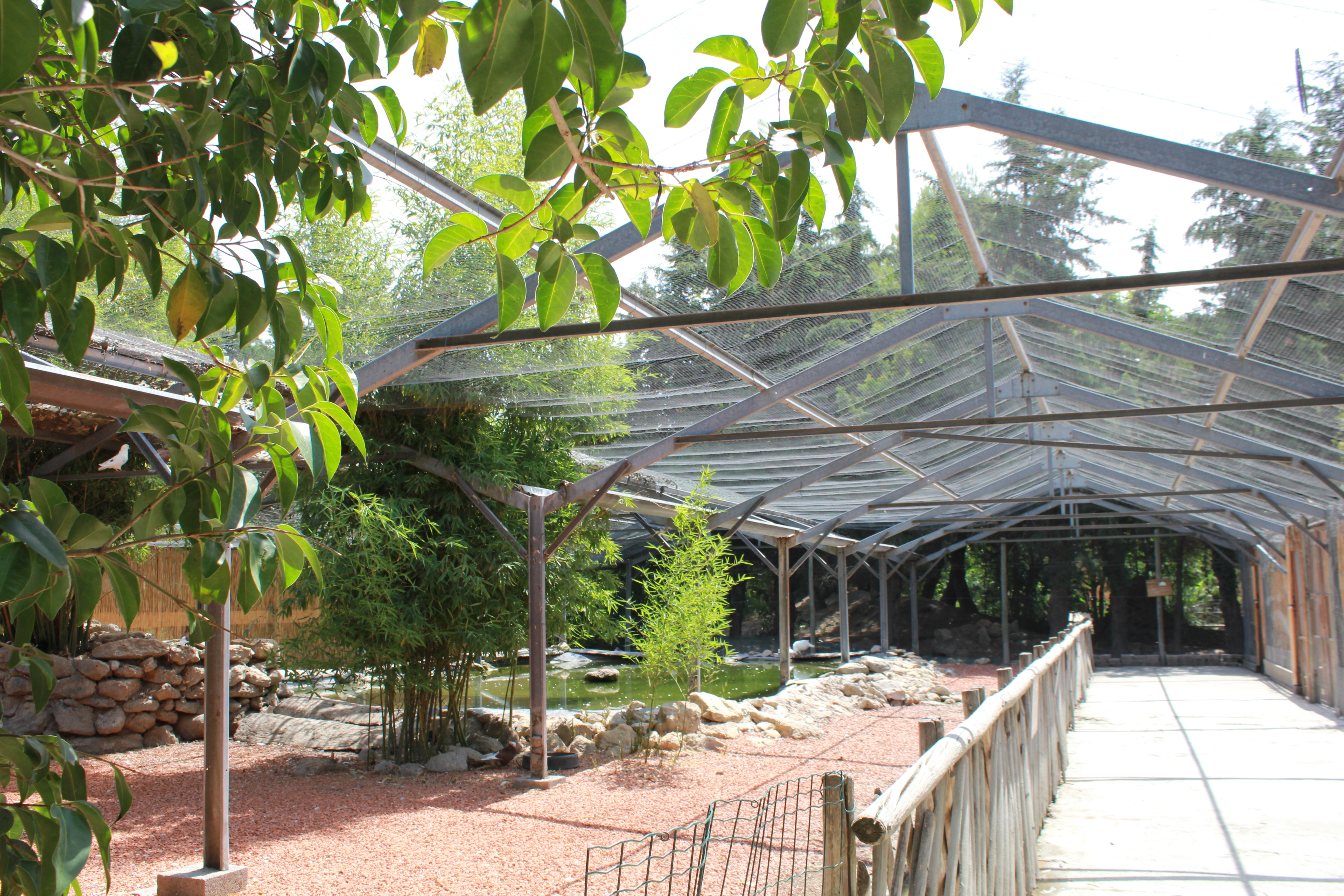 Parc Animalier - L'Arche de Méo, Mollégès - photo 3
