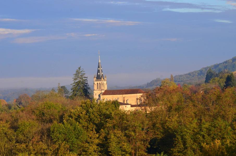 Circuit VTT n°11 (bleu) - Tour de la Forêt de la Motte  - Site du Grand Brûle_Val-Revermont