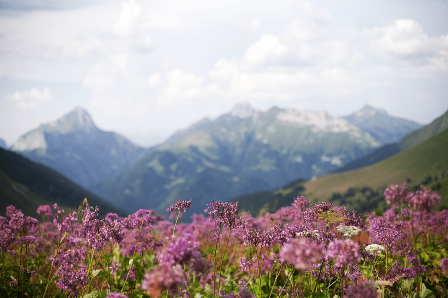 Traversée des Hautes Bauges