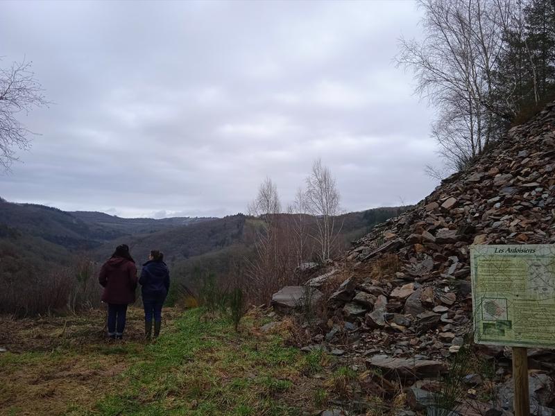 Point de vue forêt de Montagnol