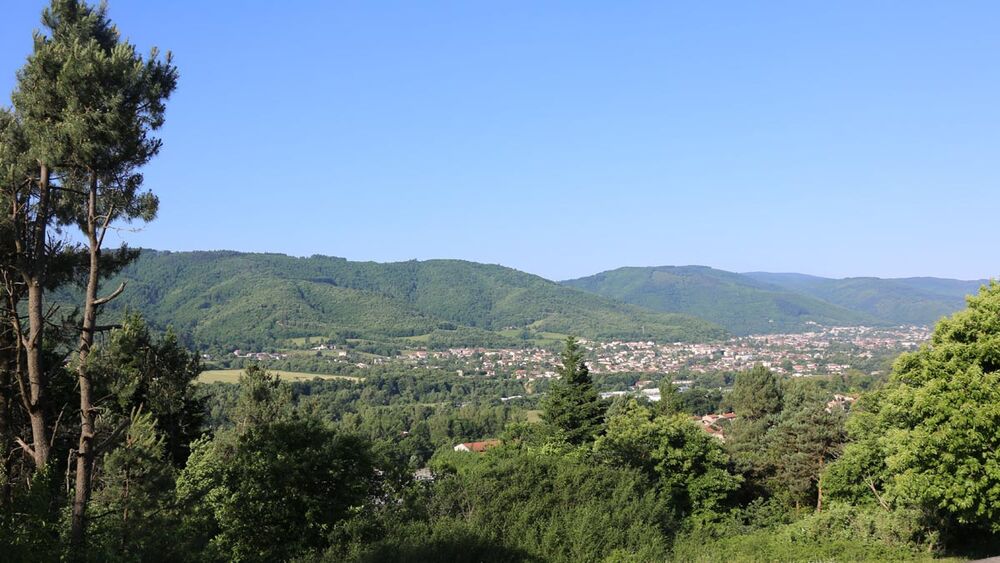 Forêt Domaniale et Communale de la Montagne Noire 