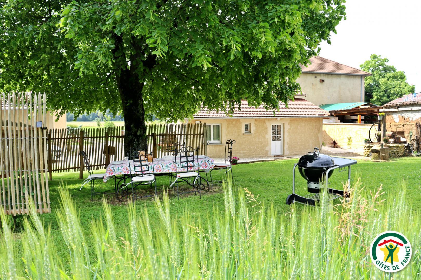 Terrasse privative pour vos repas, à l'ombre du tilleul, avec vue dégagée