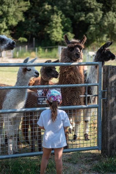 Visite à la Ferme d&rsquo;Alcatama - Bollène