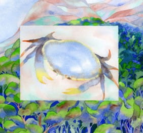 Exposition - Traversées d'Hélène Amrouche