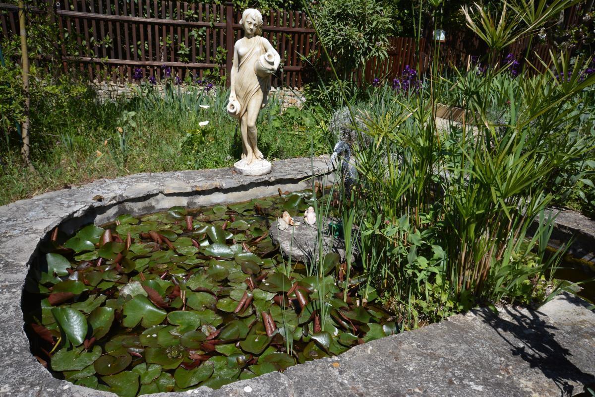 Les Oiseaux, Ceyreste - photo 5