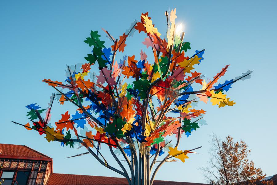 L'Arbre multi couleurs de Philippe Million_Saint-Étienne