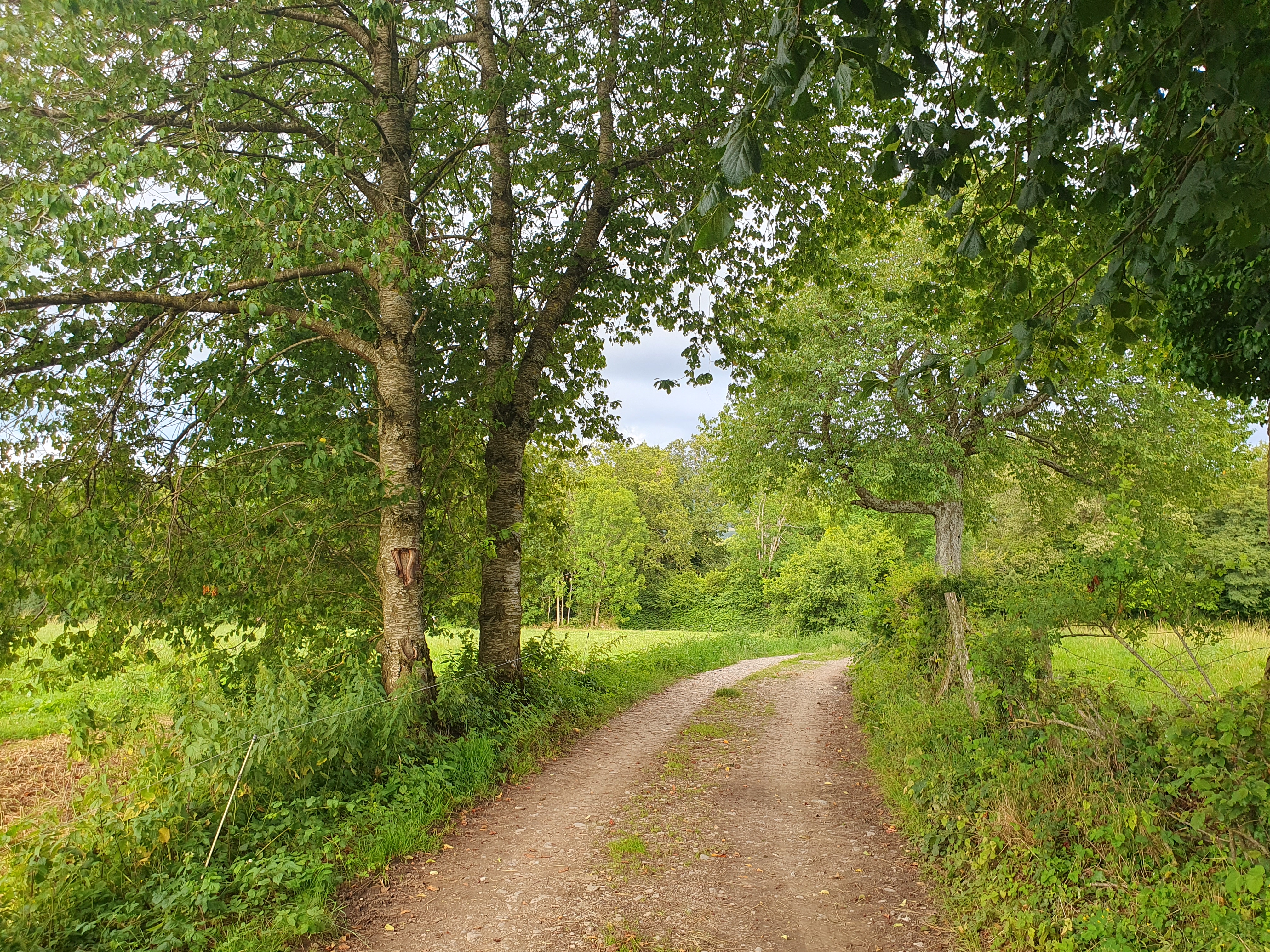 photosFeed-https://static.apidae-tourisme.com/filestore/objets-touristiques/images/25/15/24055577.jpg