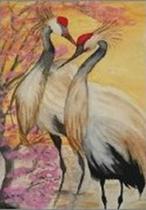 Expositon"Un regard sur les animaux sauvages" à la bibliothèque municipale à La…