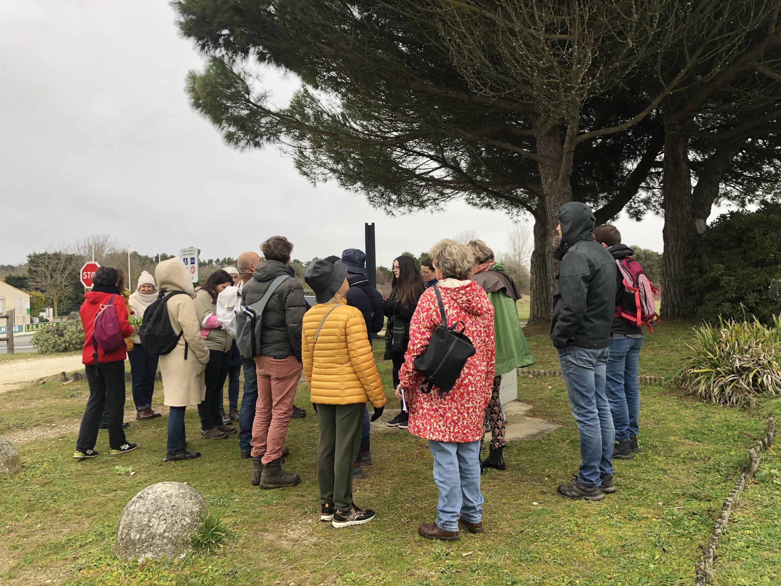 Sortie découverte des plantes sauvages de l’île d’Oléron