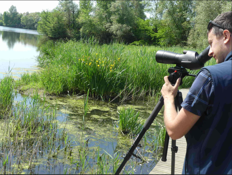 Gravière aux Oiseaux - Week-end observation_Mably