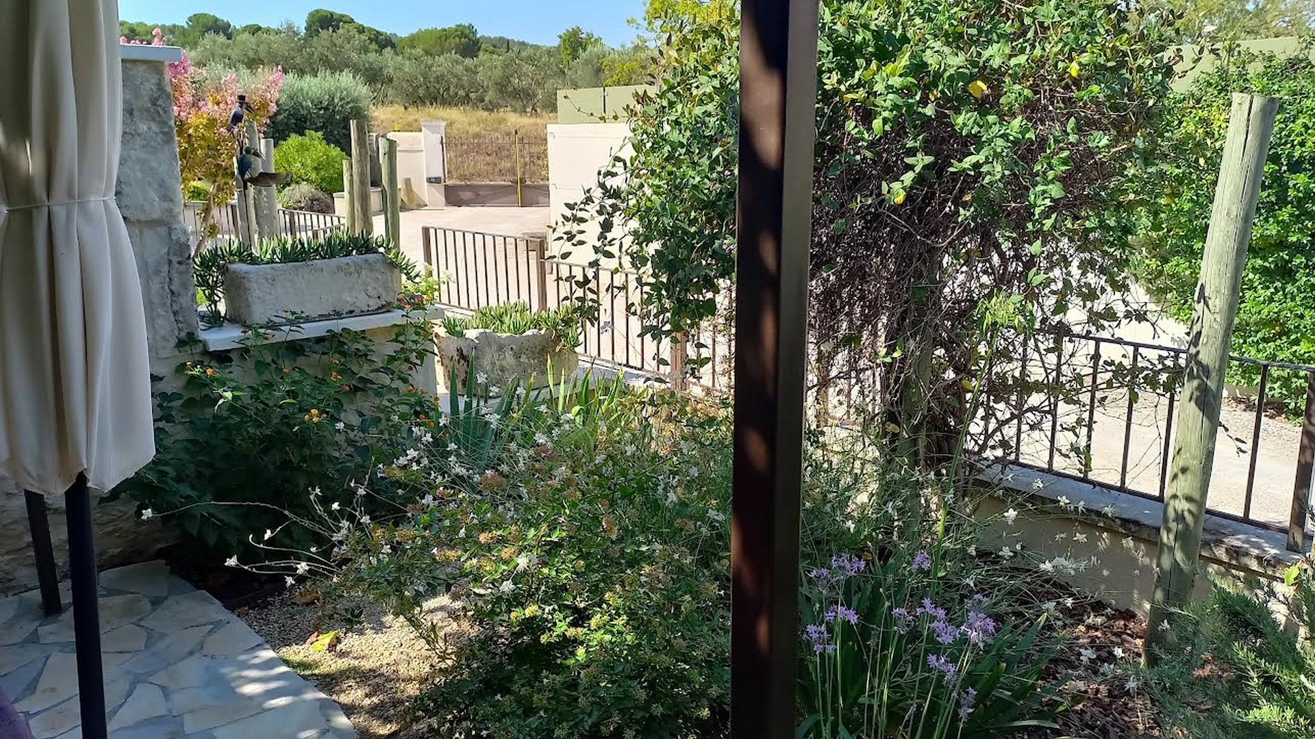 Les Lavandins - Gîte MAGALI