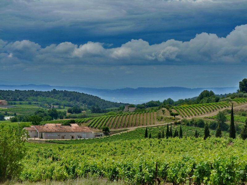 Domaine des Marchands