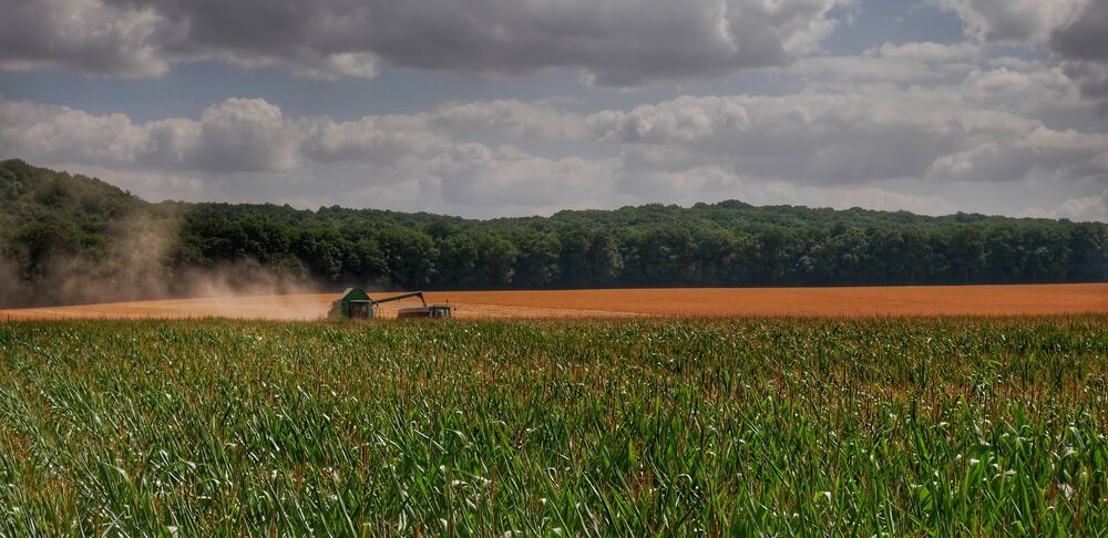 Champ sur le territoire dourdannais