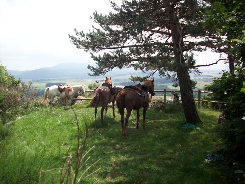 Tourisme Équestre - Ranch'O'Palles