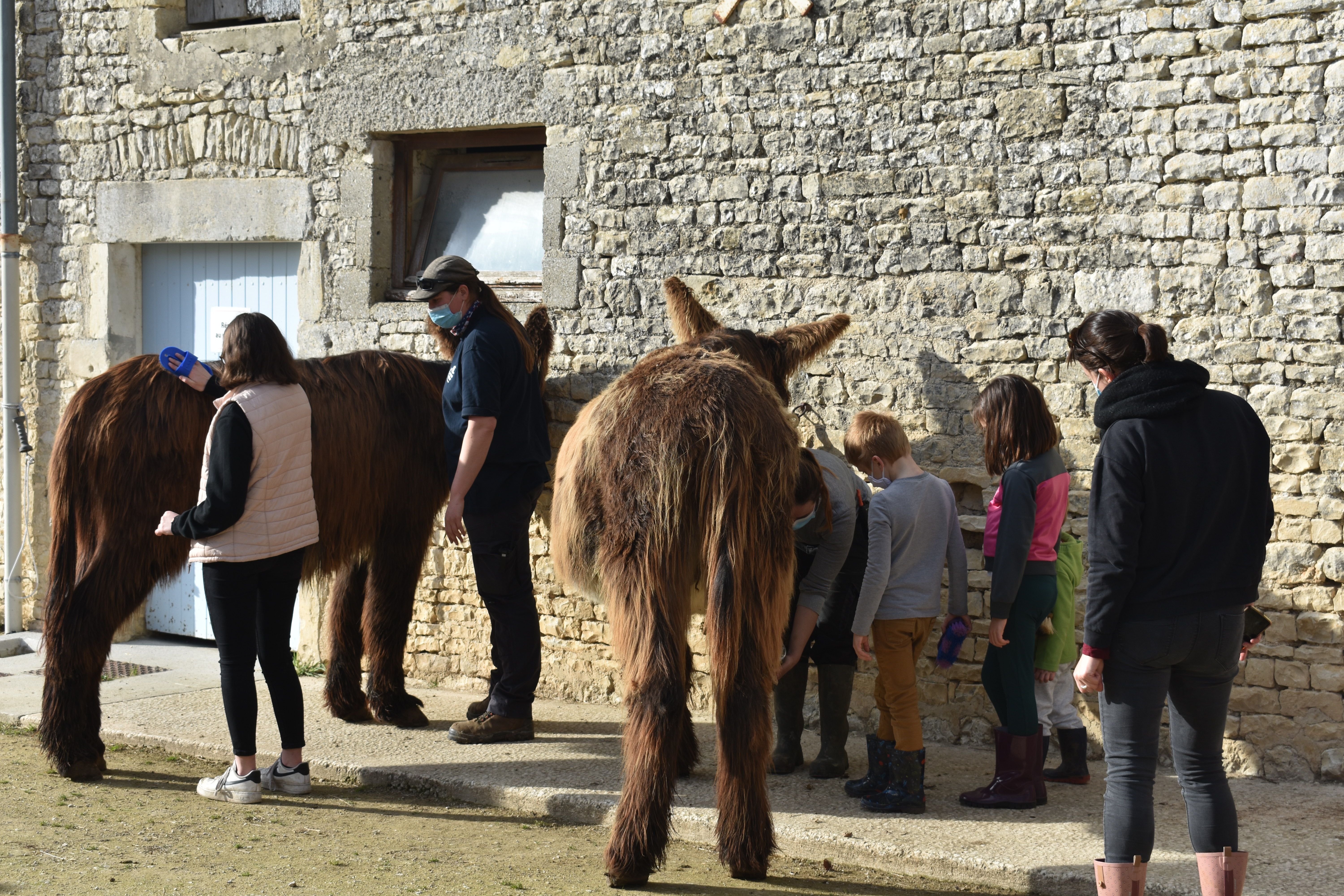 Après-midi avec les Soigneurs