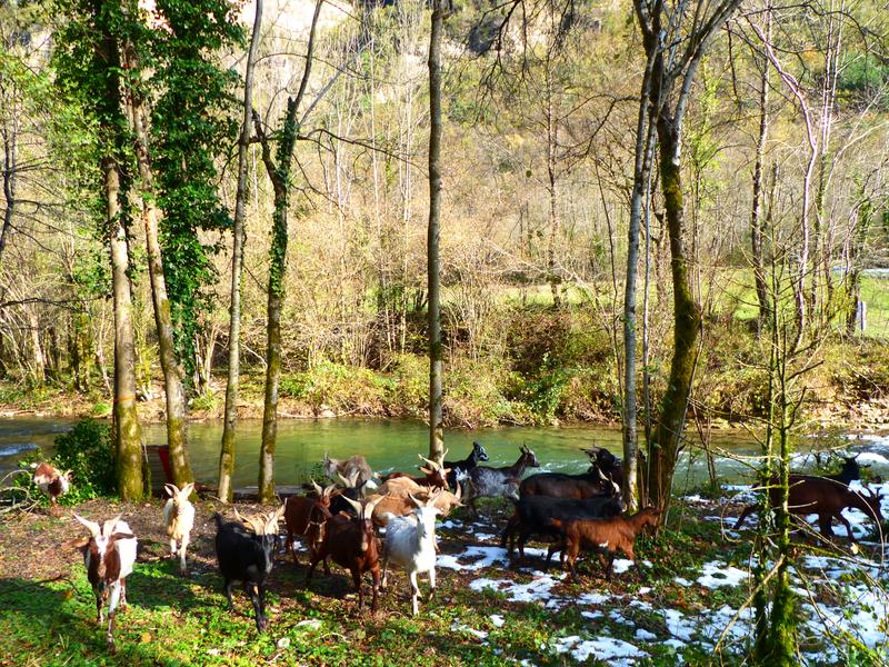 Ferme pédagogique La Bicoque