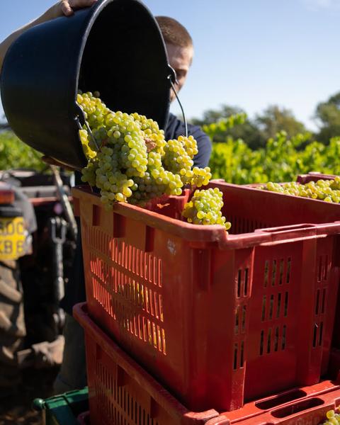 Domaine du Deffends_Saint-Maximin-la-Sainte-Baume