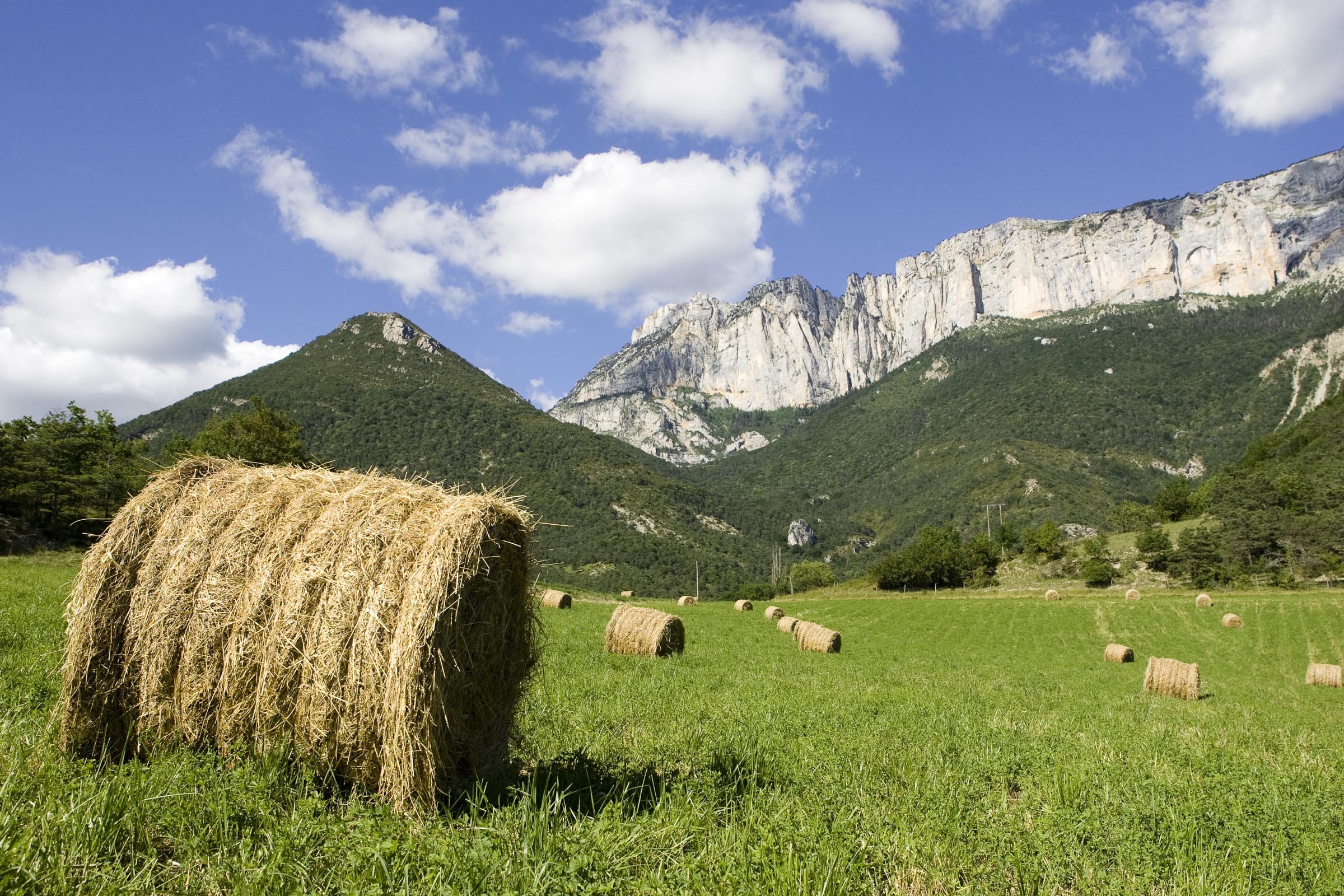 Glandasse depuis Valcroissant