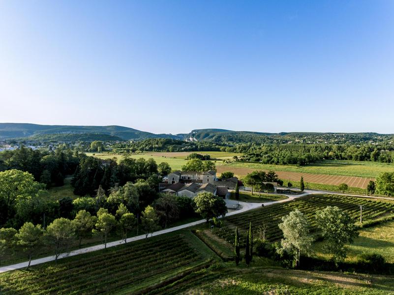 Vignobles en Scène : Spectacle dimprovisation au domaine du Colombier_Vallon-Pont-dArc