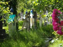 Visite du cimetière russe_Sainte-Geneviève-des-Bois