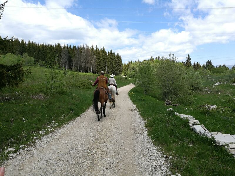 Retord sud : L'alpage