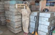 Vérification des cellules royales