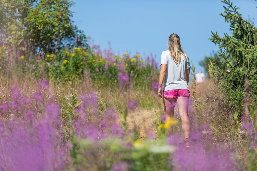 Belvédère de l'Orionde