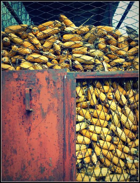 Exposition collective - Photographies, peintures & estampes_Bonneval-sur-Arc