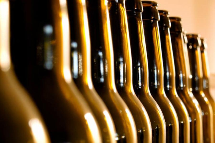 Initiation à la dégustation (et découverte du brassage)