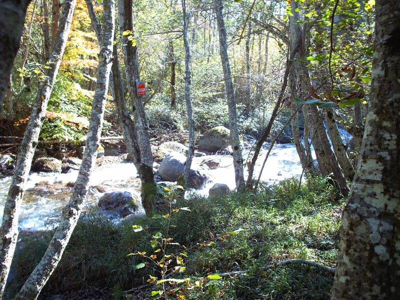 La Matheysine à cheval