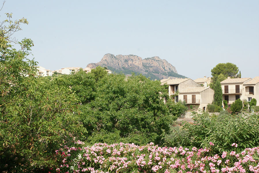 Le sentier du mimosa