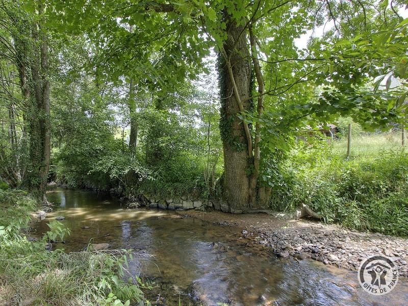 Gîte du Moulin à Thizy les Bourgs en Haut Beaujolais et à 10 km du Lac des Sapins - Rhône : la petite rivière qui serpente au bout du terrain du gîte.