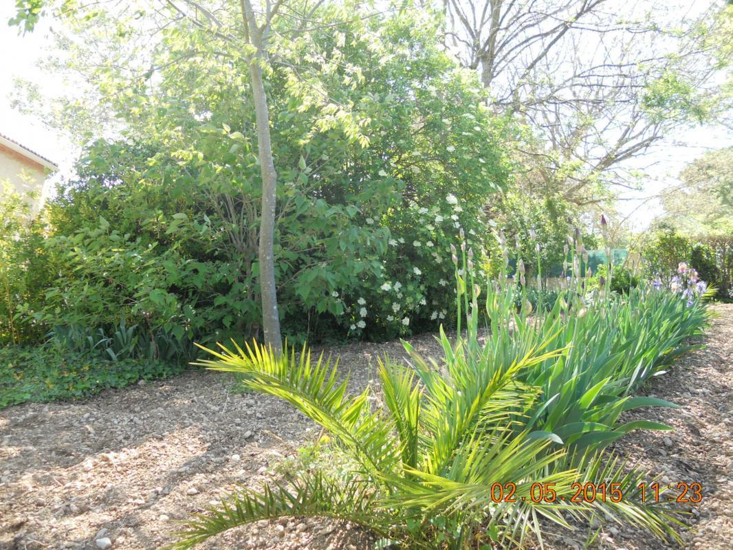 Le Figuier, Gémenos - photo 19