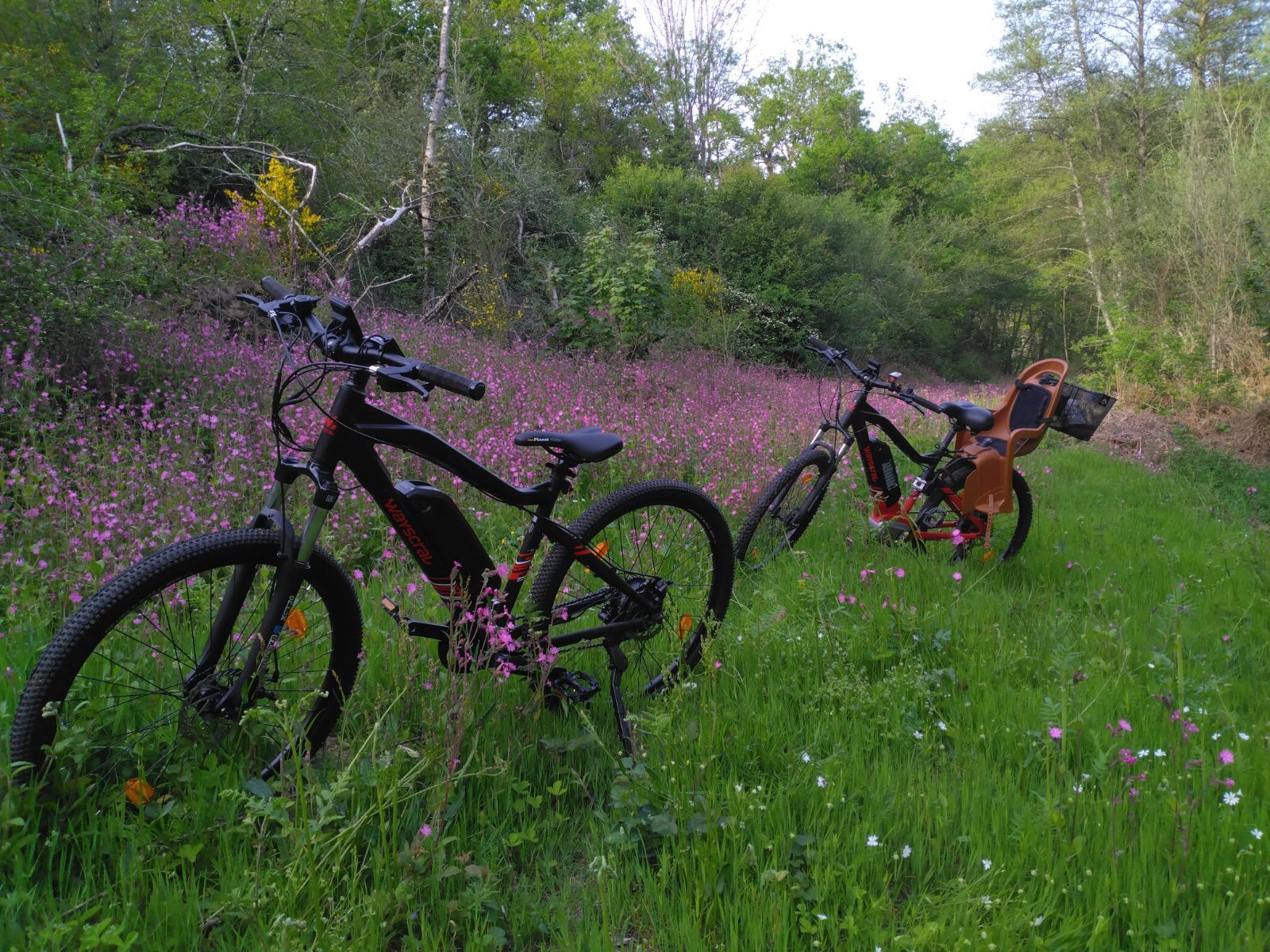 Evasion dans le Bocage - En vélo à assistance électrique ou non