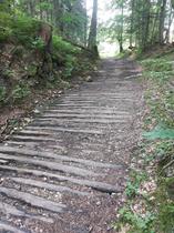 20250804_102320_platelage_des_plats.jpg