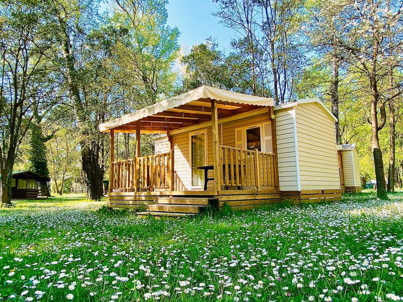 Mobil home sans sanitaires camping du lion