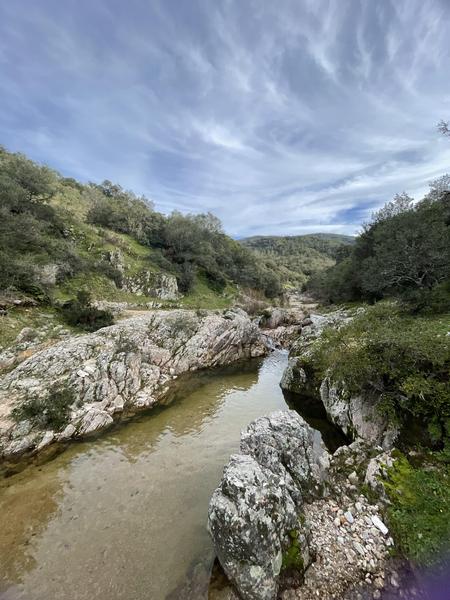 Randonnée découverte de la flore méditerranénne avec guide SAB Esterel_Roquebrune-sur-Argens