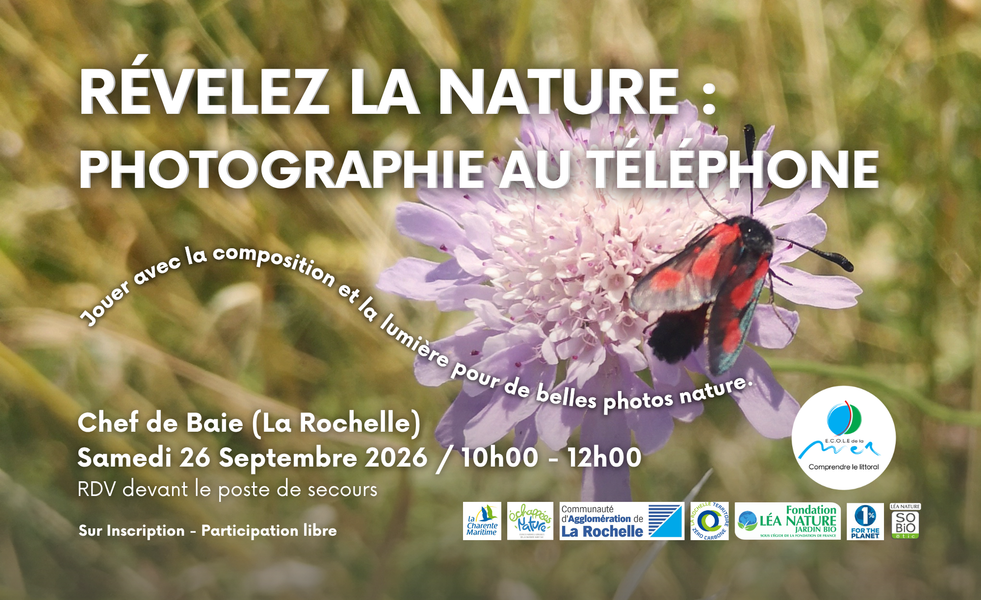 Sortie Nature - Révélez la nature : photographie au téléphone