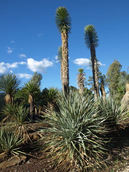 Jardin Zoologique Tropical à La londe les Maures