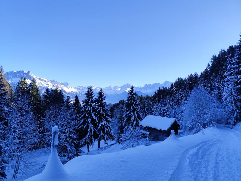 Boucle des Plaines - sentier raquettes_Cordon