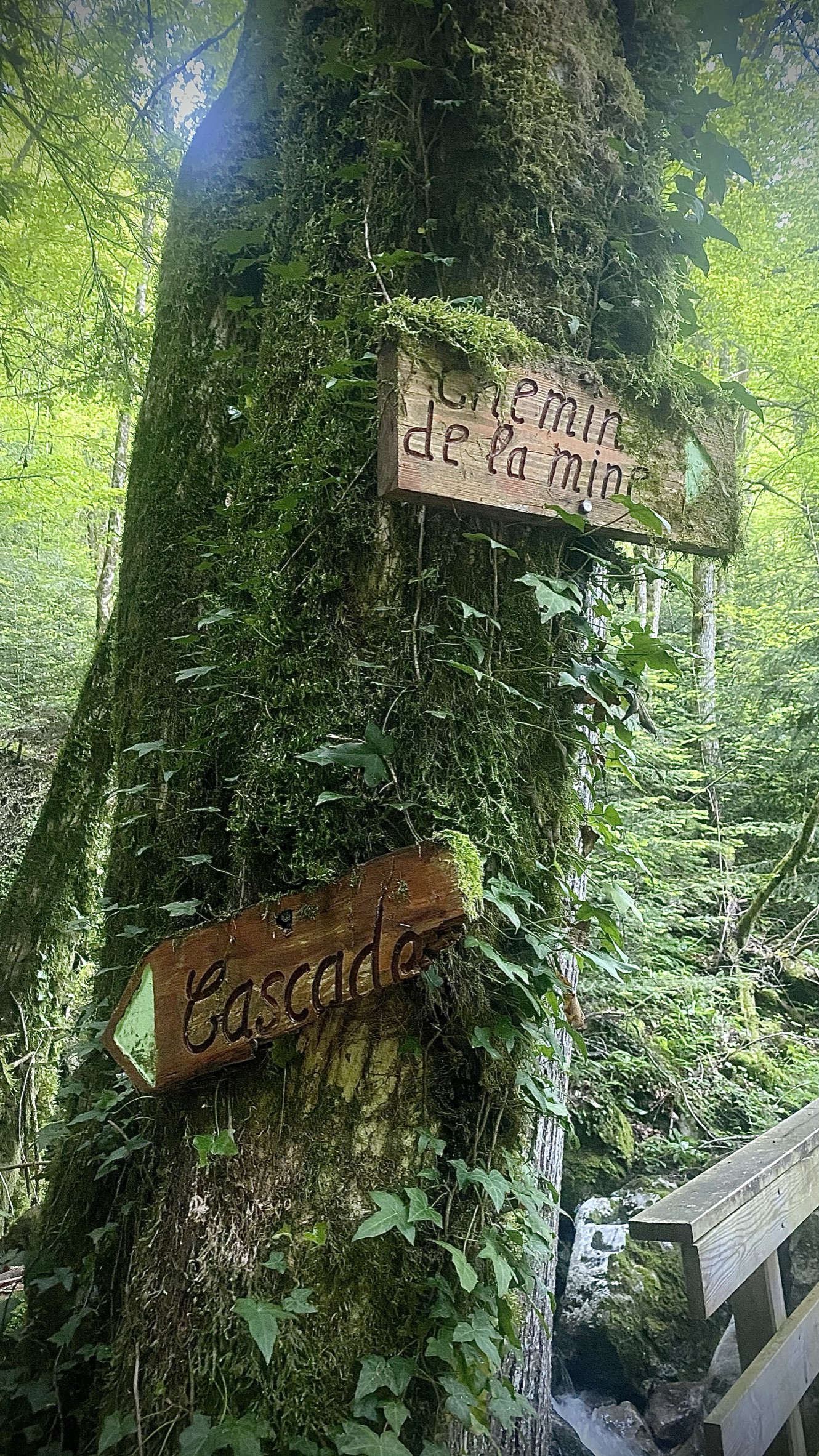 photosFeed-https://static.apidae-tourisme.com/filestore/objets-touristiques/images/250/157/42049018.jpeg