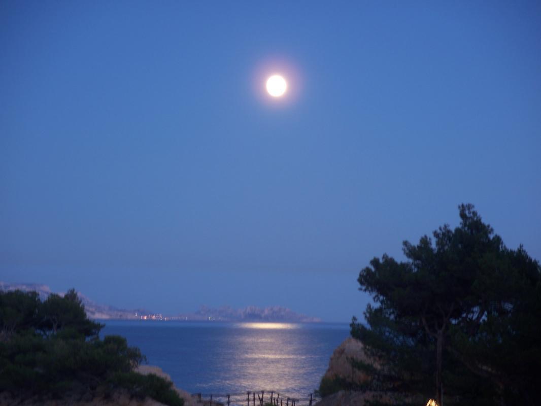 La Tortue, Ensuès-la-Redonne - photo 15