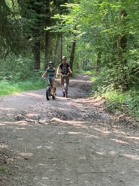 Trottinette électrique forêt