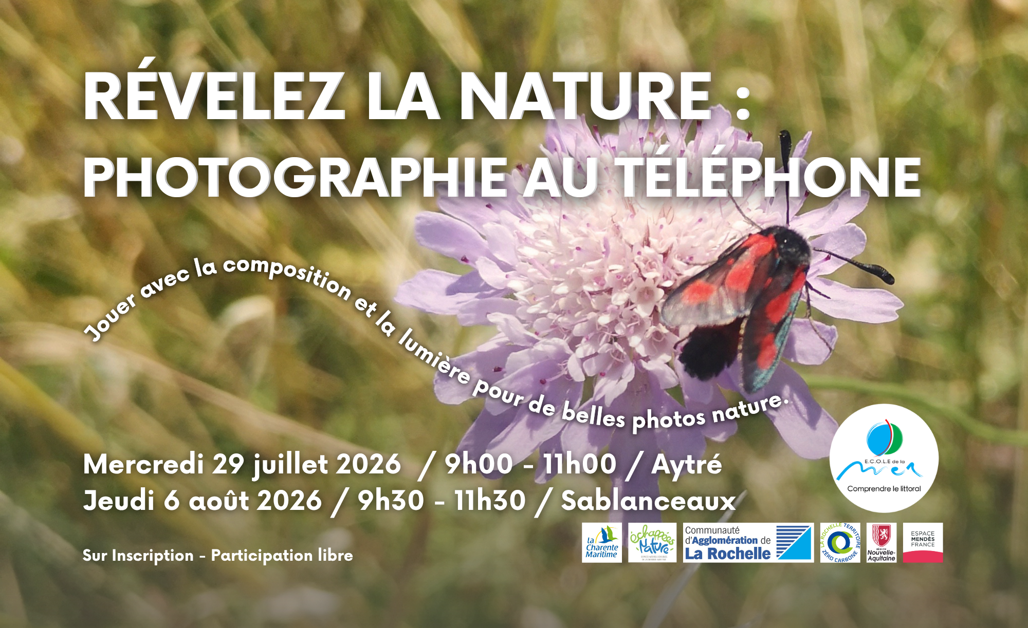 Révélez la nature : photographie au téléphone