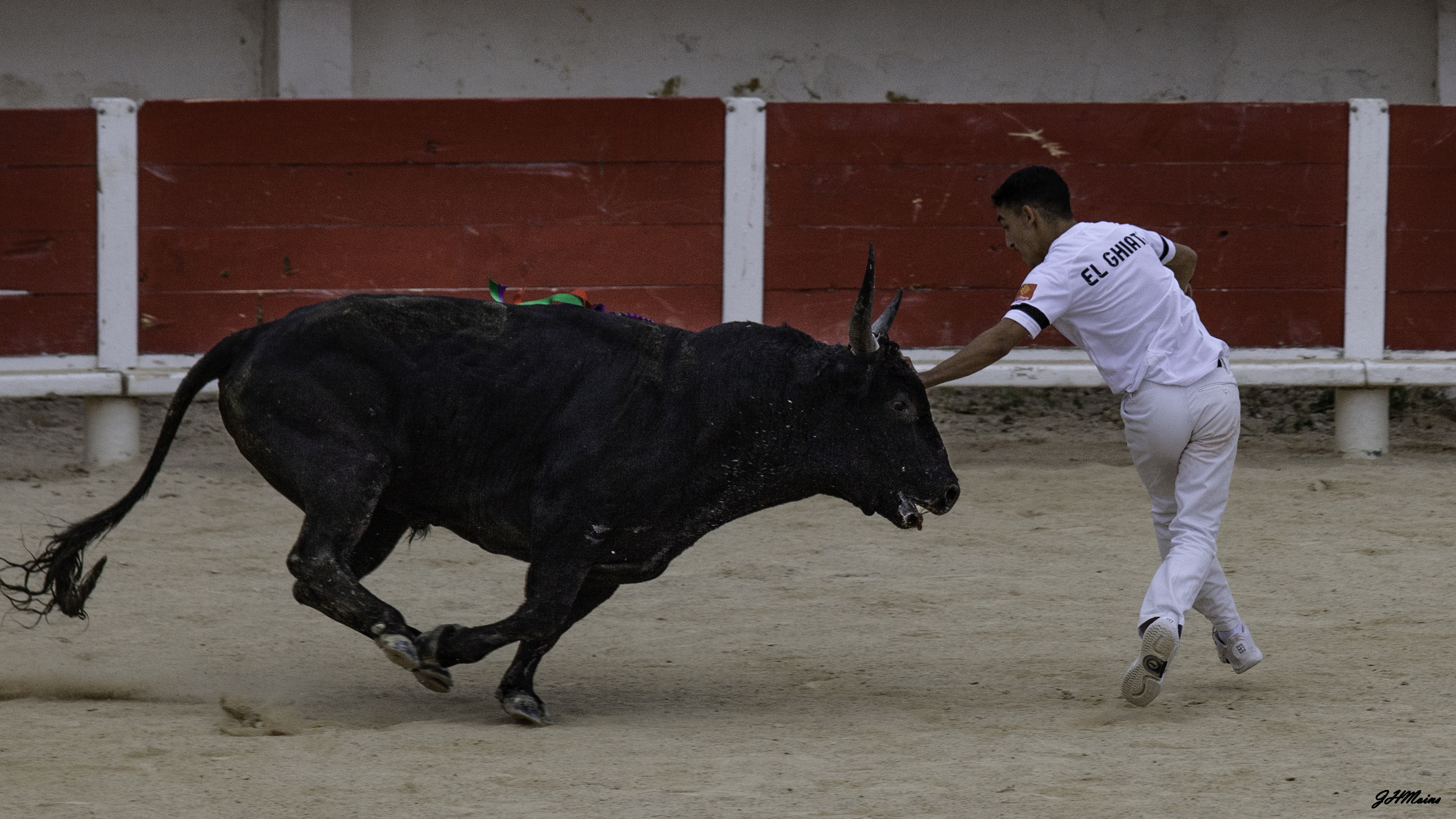 Course camarguaise aux arènes «Finale Trophée de l’Avenir»