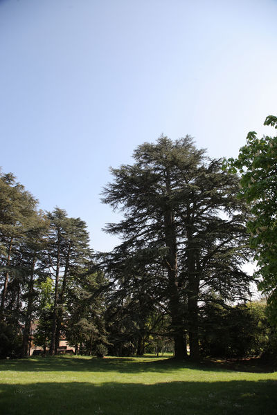 2,5 hectares de parc