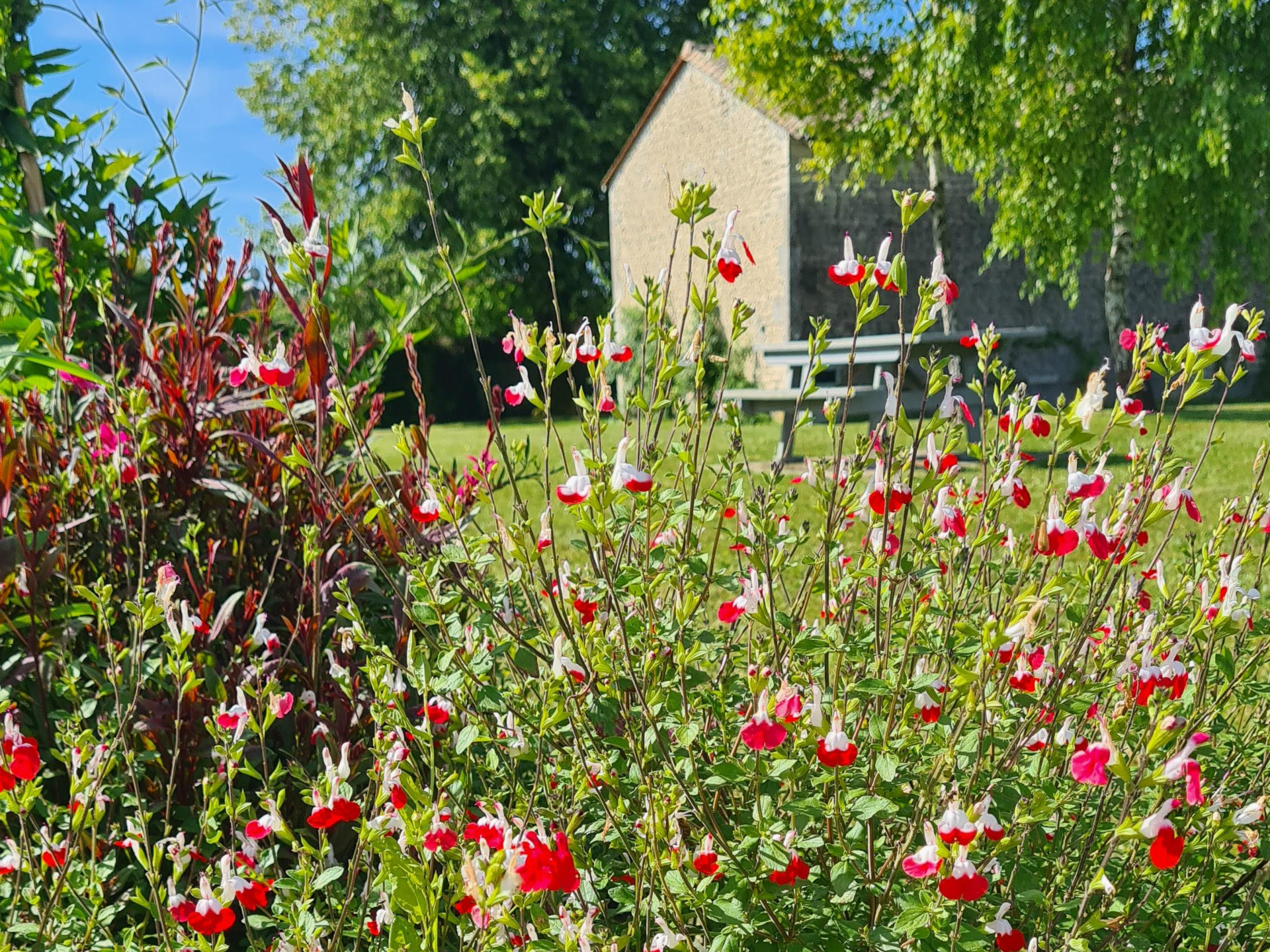 Venez planter votre part de nature