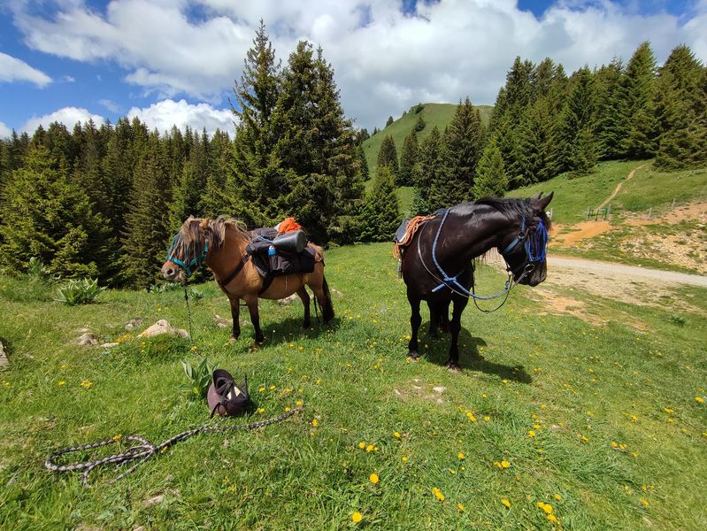 Circuit des Montagnes du Haut-Jura