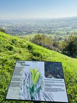 Sortie nature commentée 