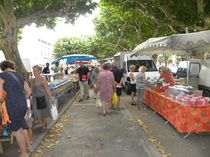 Daily market